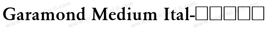 Garamond Medium Ital字体转换